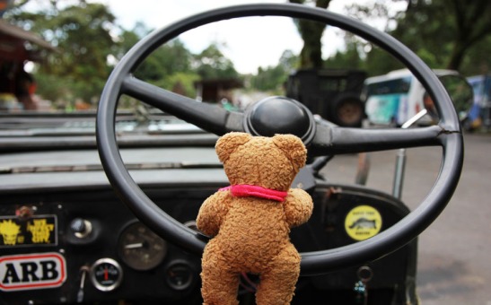 95-watch out, Teddy is driving